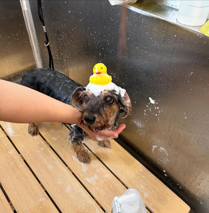 ブログ画像