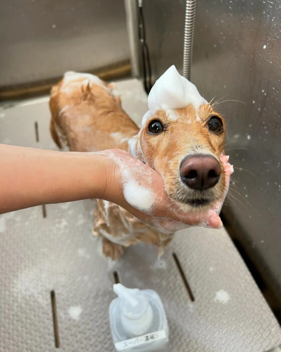 ブログ画像