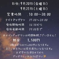 ブログ画像