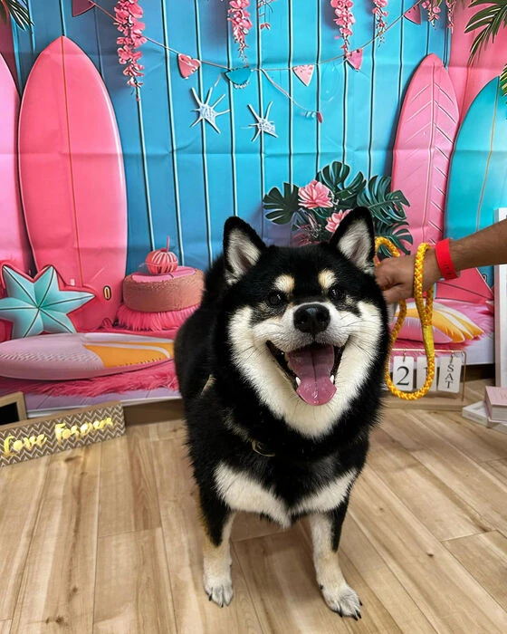 ブログ画像