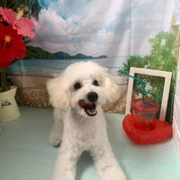 ブログ画像