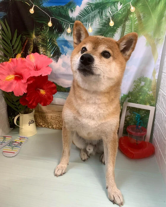 ブログ画像