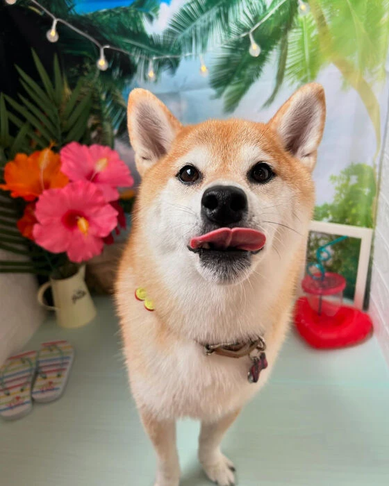 ブログ画像