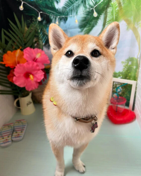 ブログ画像