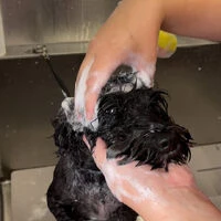 動画サムネイル