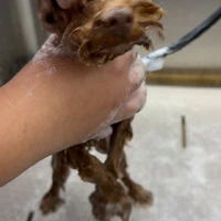 動画サムネイル