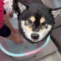 動画サムネイル