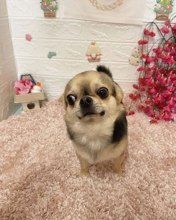 ブログ画像