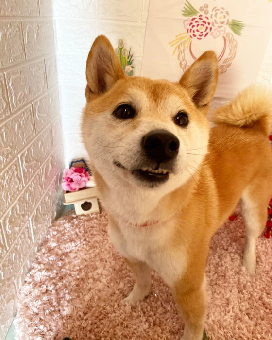 ブログ画像