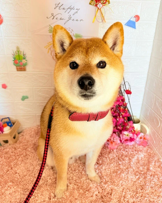 ブログ画像