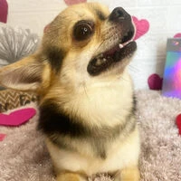 ブログ画像